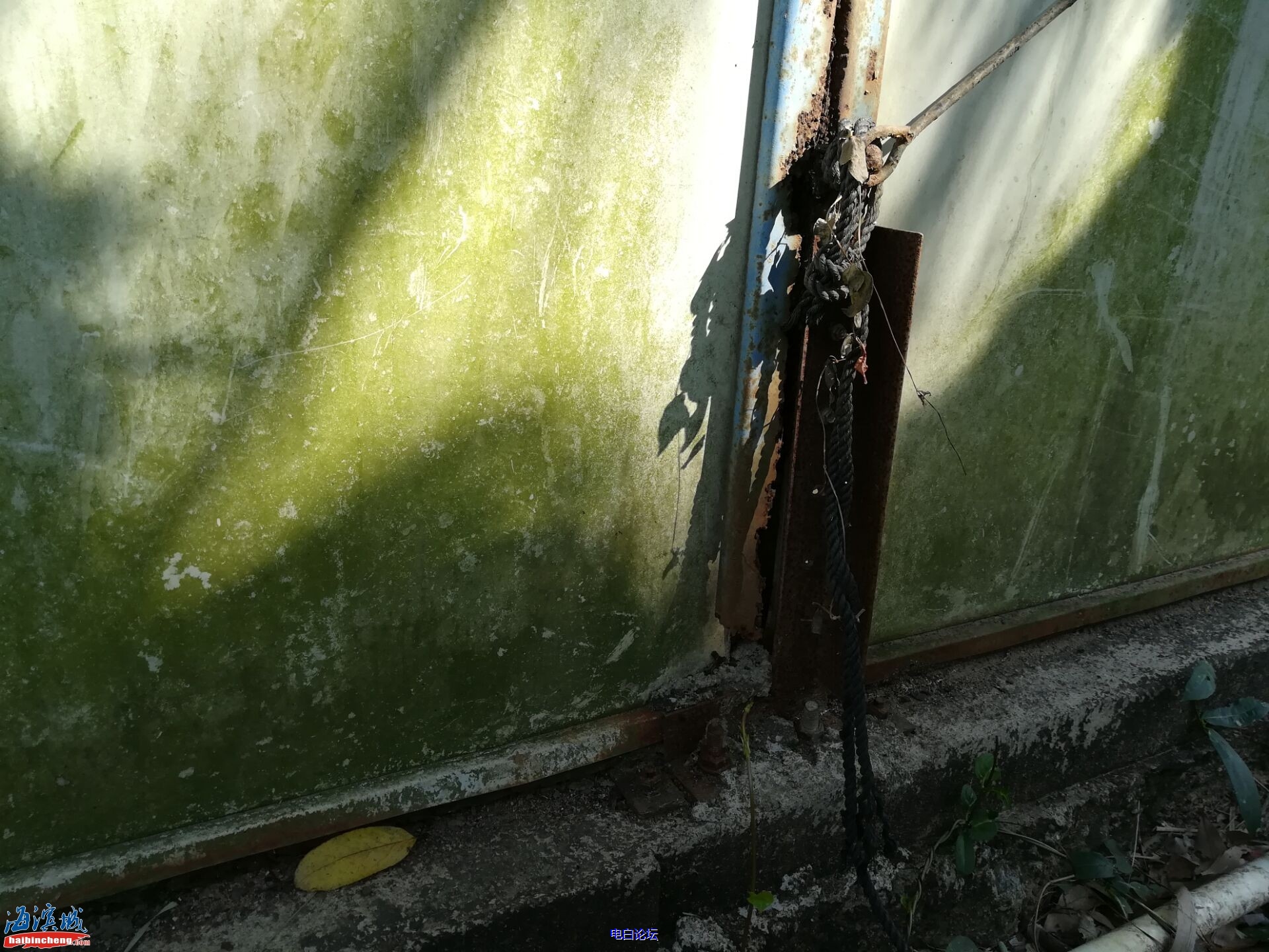 51a580abdebcbbd02fb17c0089ee5b84.jpeg 51a580abdebcbbd02fb17c0089ee5b84.jpeg