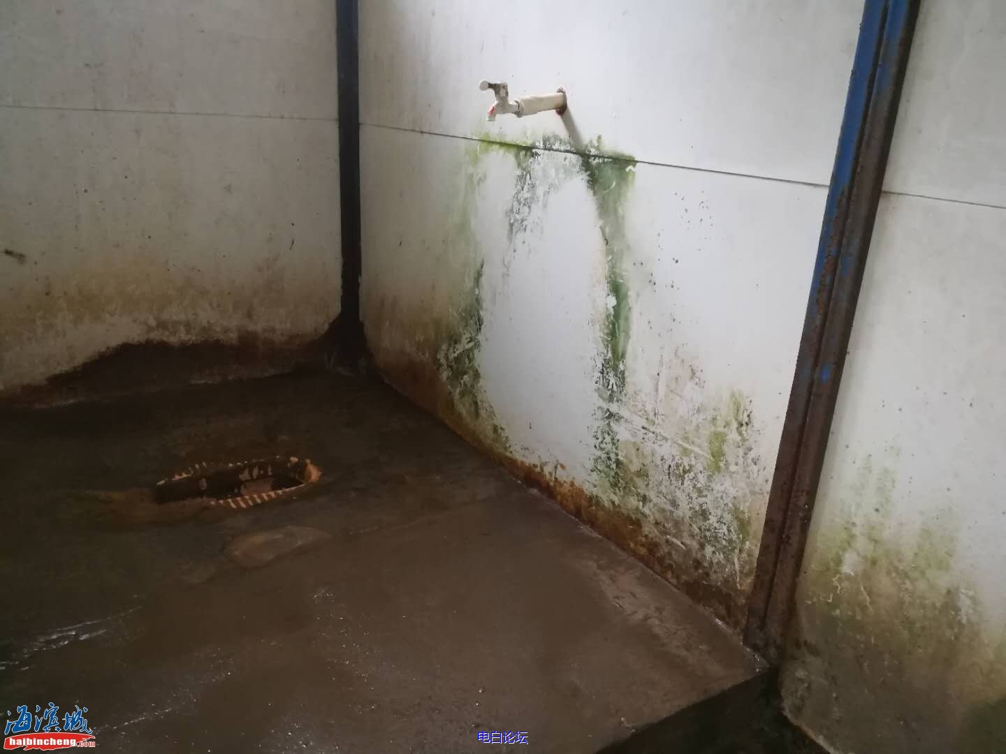 51a580abdebcbbd02fb17c0089ee5b84.jpeg 51a580abdebcbbd02fb17c0089ee5b84.jpeg