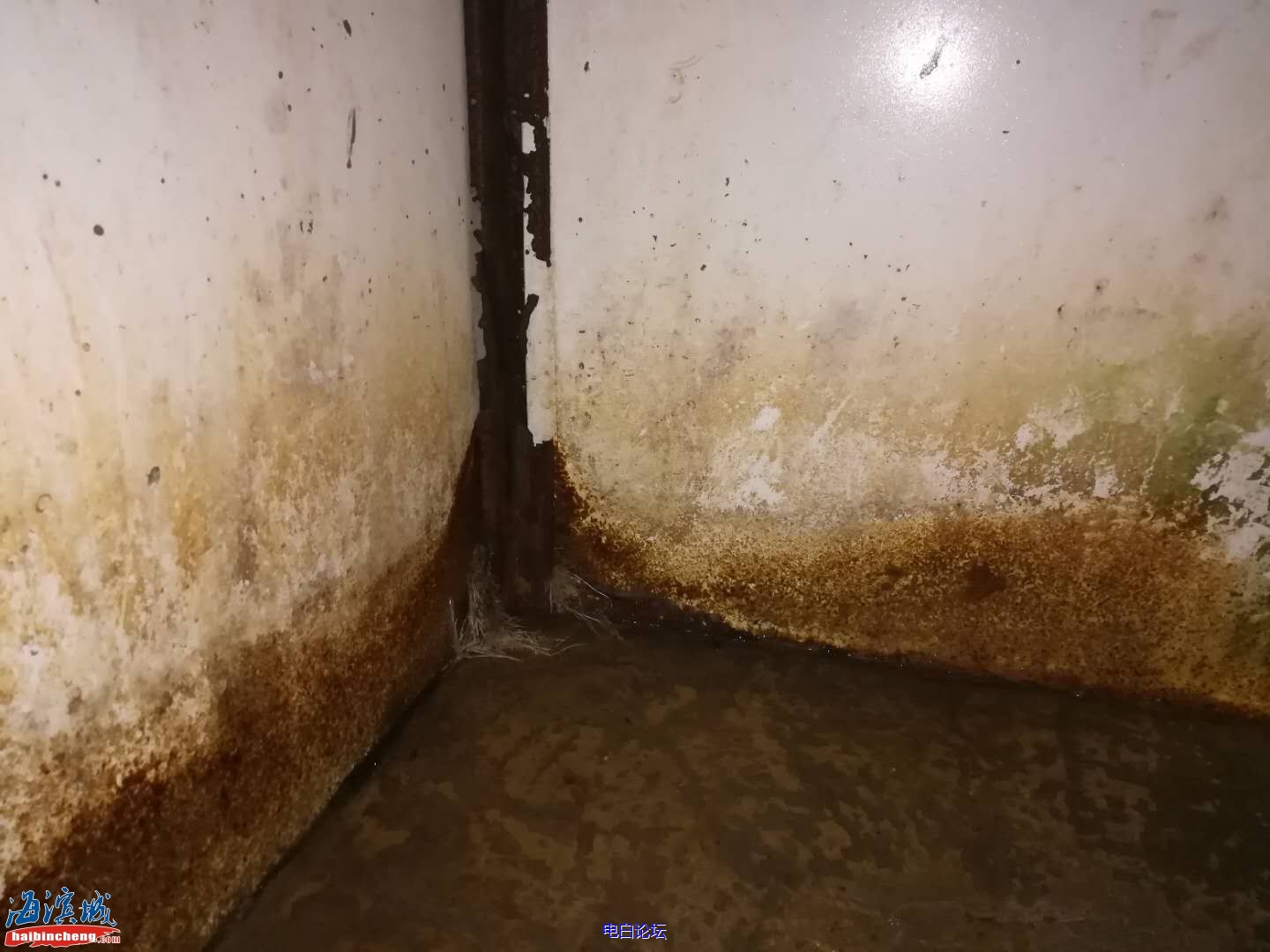 51a580abdebcbbd02fb17c0089ee5b84.jpeg 51a580abdebcbbd02fb17c0089ee5b84.jpeg