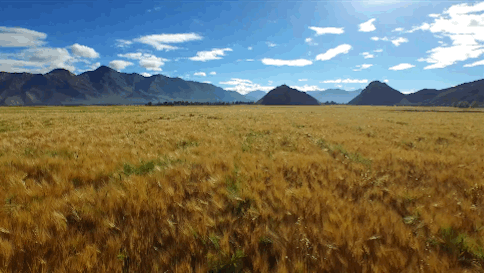 6ac9a886c98df682886190aa9e7b16a2.gif 6ac9a886c98df682886190aa9e7b16a2.gif