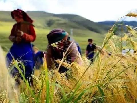 6ac9a886c98df682886190aa9e7b16a2.jpeg 6ac9a886c98df682886190aa9e7b16a2.jpeg