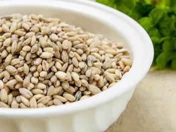 6ac9a886c98df682886190aa9e7b16a2.jpeg 6ac9a886c98df682886190aa9e7b16a2.jpeg