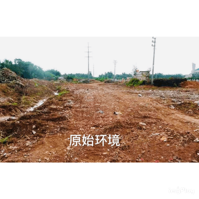 706d445904aa0c1e1a9c0d11cb9f5b2b.gif 706d445904aa0c1e1a9c0d11cb9f5b2b.gif