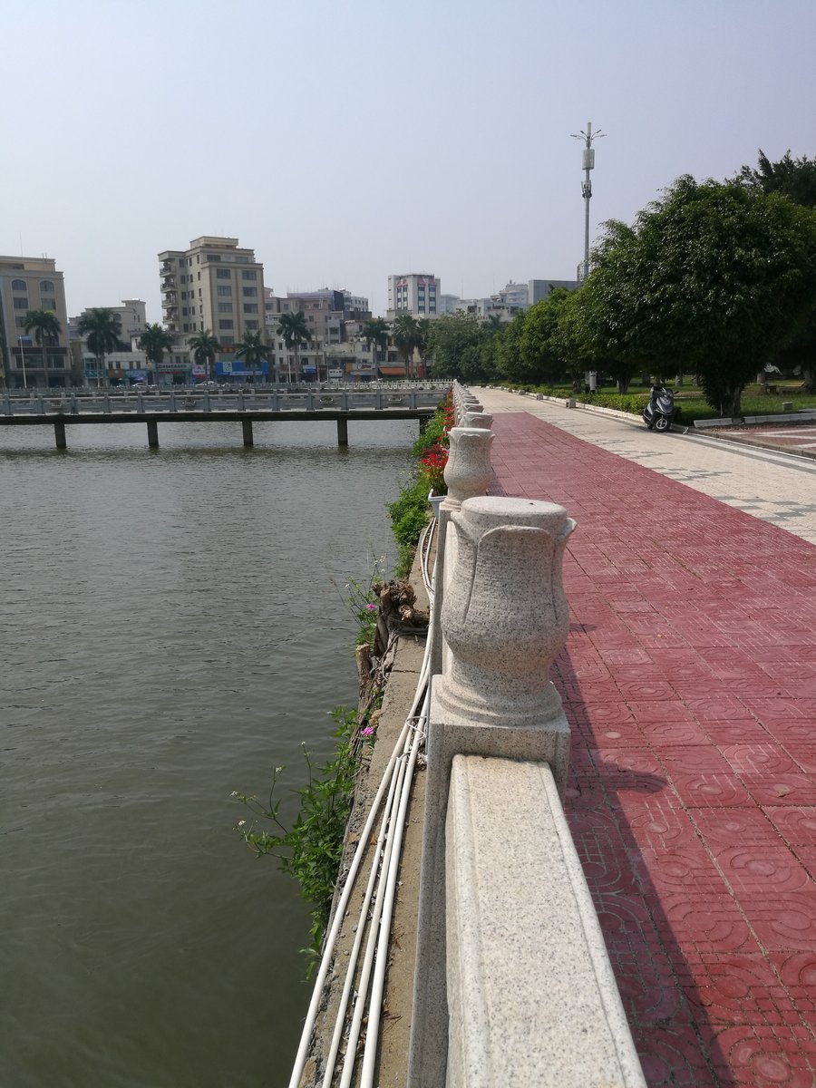 IMG_20170527_143429.jpg IMG_20170527_143429.jpg