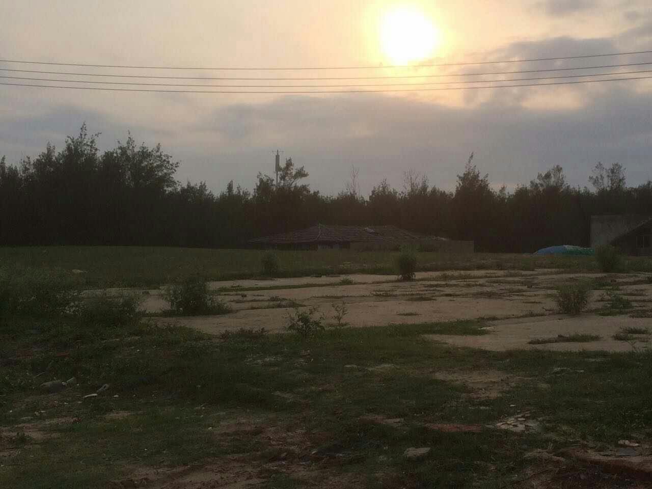 mmexport1496911458514.jpg mmexport1496911458514.jpg