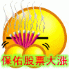 保股票涨涨涨.gif