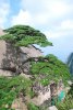 DSC_0106副本.jpg