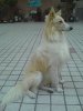 DSC02650.JPG