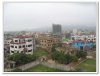 IMG_5665.jpg
