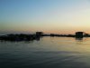 SDC10079.jpg