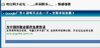 养猪.jpg