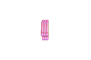 199684800.gif