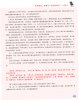 p31.jpg