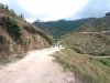 DSC07351B.jpg