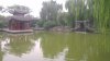 IMAG0273.jpg