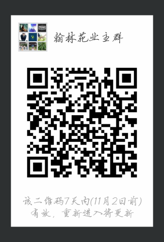mmqrcode1509012244743.png