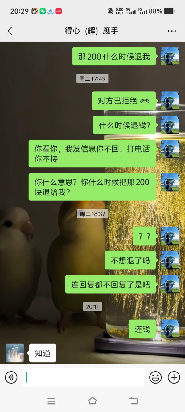 1000096919.jpg