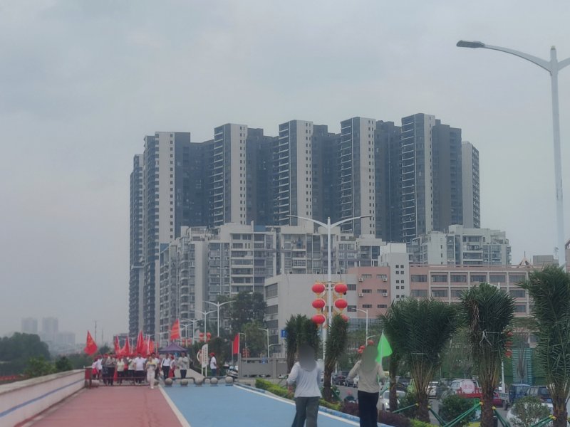 IMG_20251031_114854.jpg IMG_20251031_114854.jpg