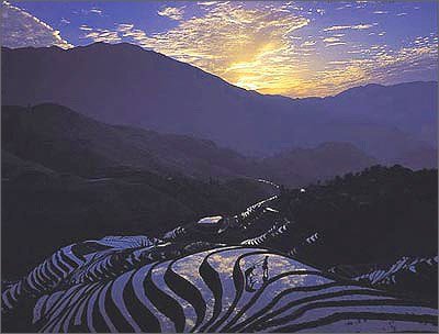 广西龙胜梯田.jpg