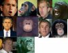 georgebush-monkey.jpg