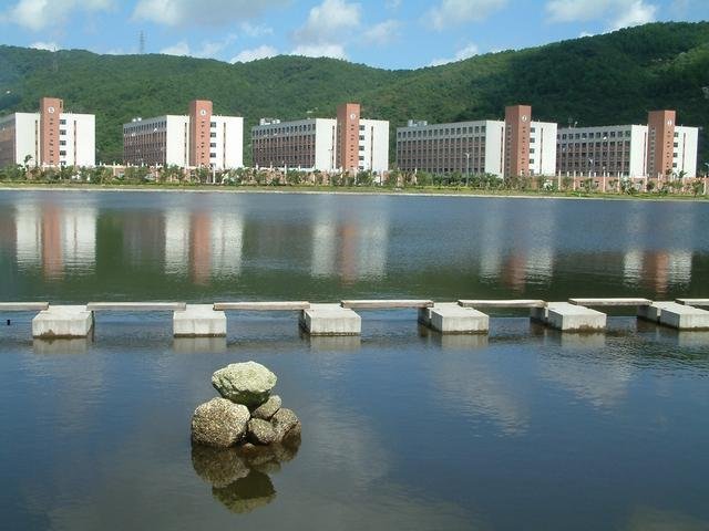 file_6896331_1148633044452.jpg