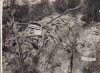 WWI - Abandoned Russian Trench.jpg