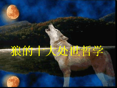 1.gif