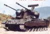 gepard_Allemagne_23.jpg