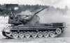 gepard_Allemagne_15.jpg