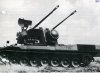 bw-gepard_50.jpg