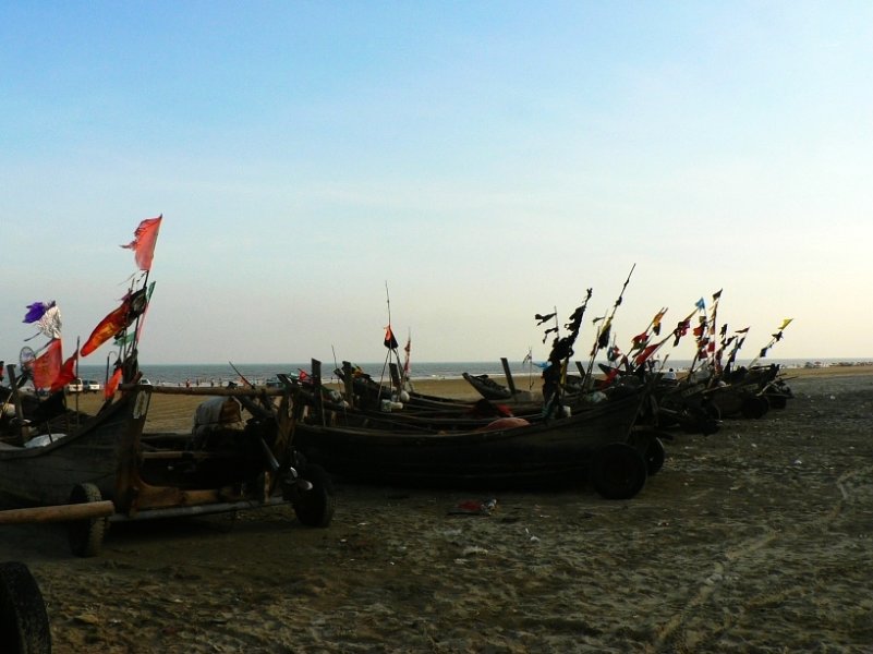 P1030785.jpg