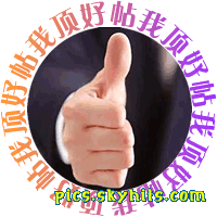 1575136338.gif