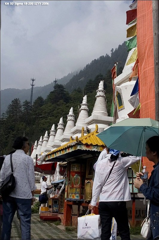 PICT0370.jpg