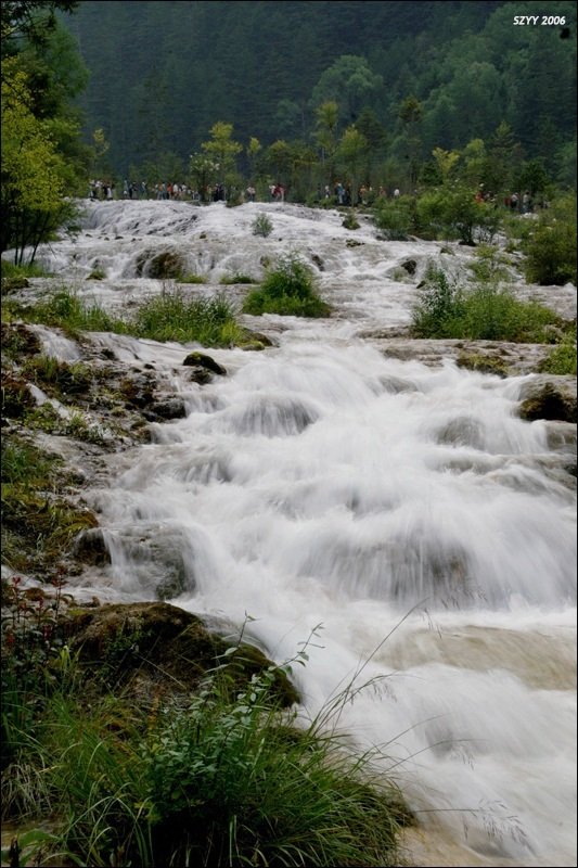 PICT0694.JPG