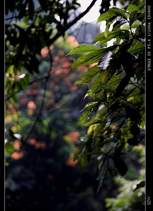 PICT1288_nEO_IMG.jpg