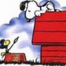 snoopy