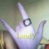 landy