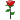 :rose: